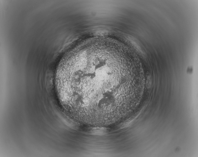 X0000090910363200708131417