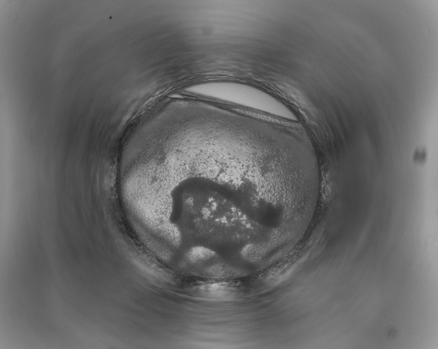 X0000090910365200708131417