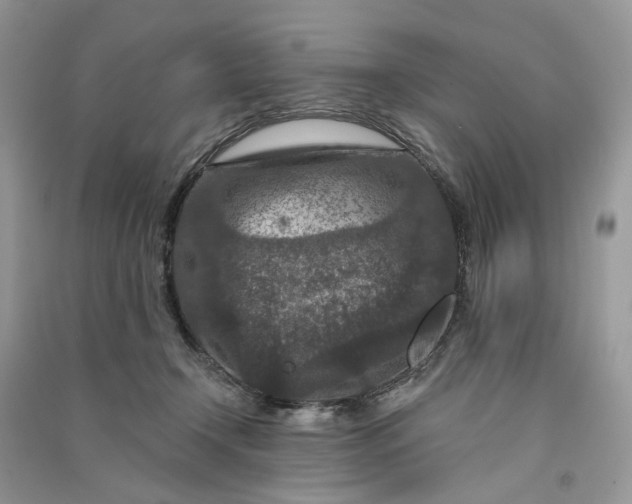 X0000090910366200708131417