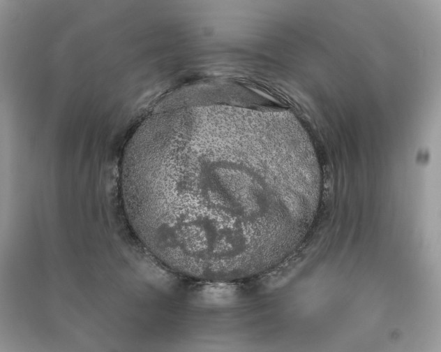 X0000090910369200708131417