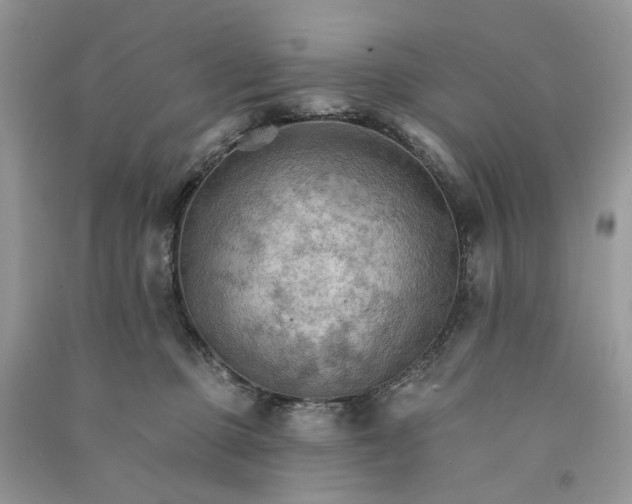 X0000090910373200708131417