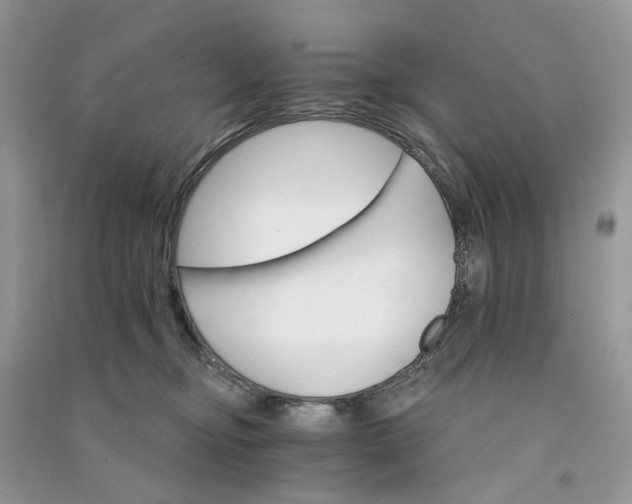 X0000090910374200708131417