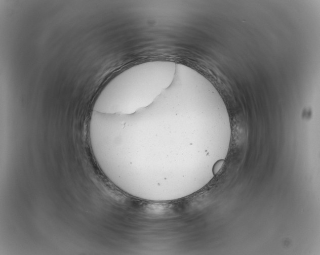 X0000090910375200708131417