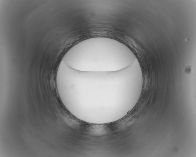 X0000090910377200708131417