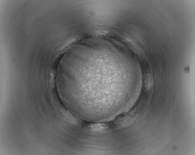 X0000090910378200708131417