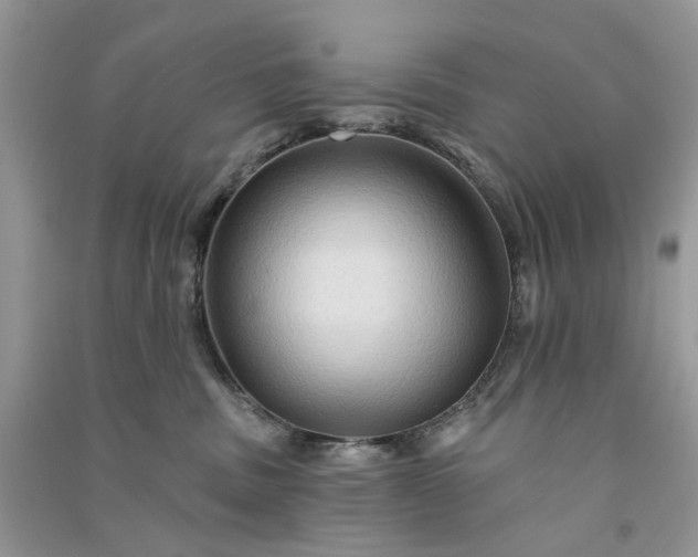 X0000090910379200708131417