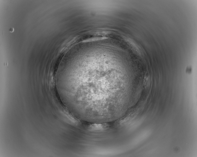 X0000090910381200708131417