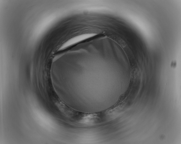 X0000090910382200708131417