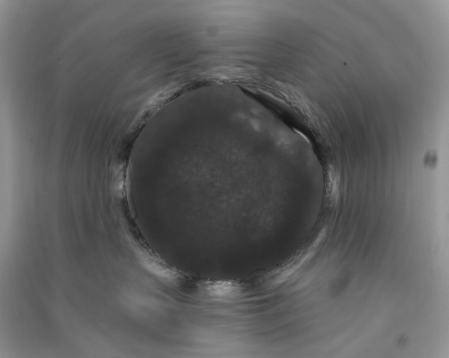 X0000090910383200708131417