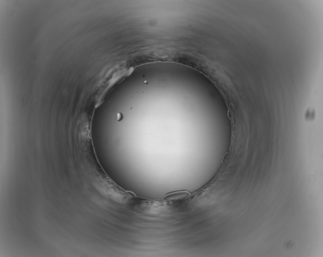 X0000090910384200708131417