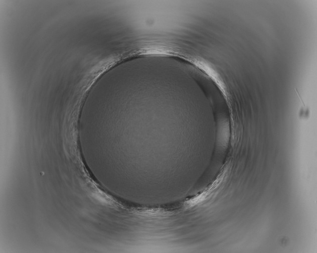 X0000090910385200708131416