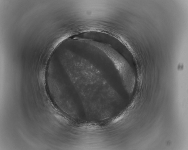 X0000090910386200708131416