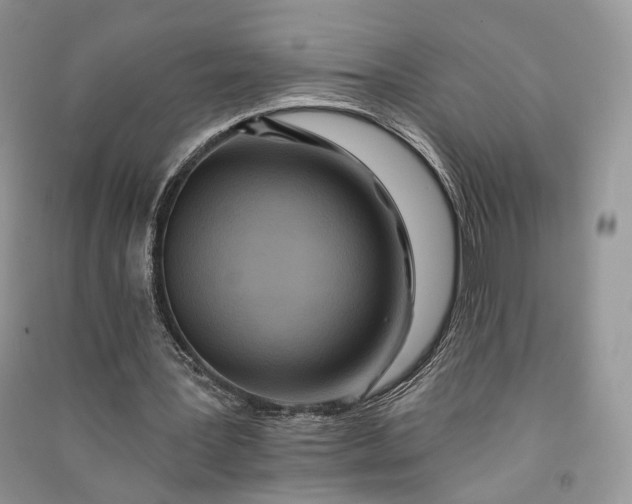 X0000090910387200708131416