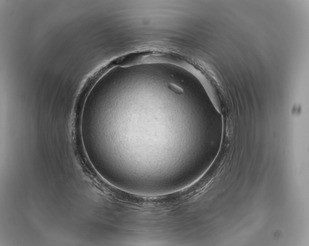 X0000090910388200708131416