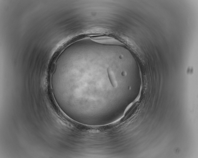 X0000090910392200708131416