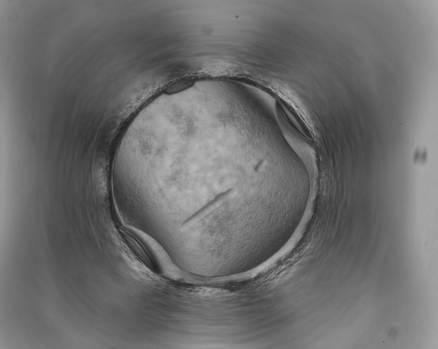 X0000090910393200708131416