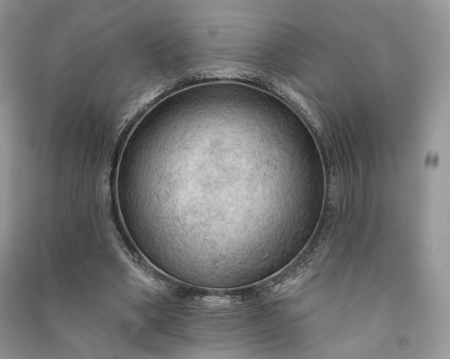 X0000090910394200708131416