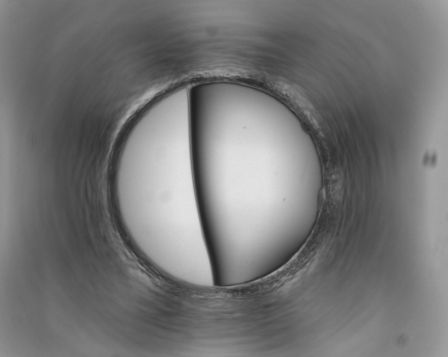 X0000090910395200708131416