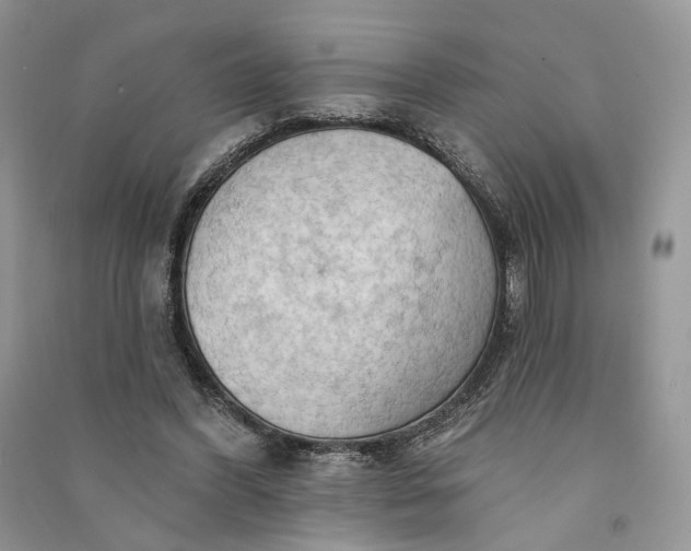 X0000090910396200708131416