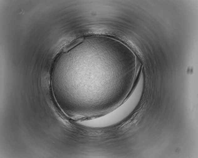 X0000090910397200708131416