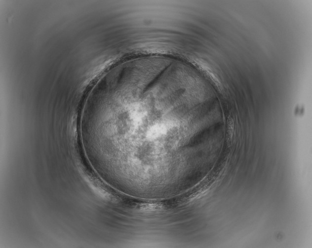 X0000090910398200708131416