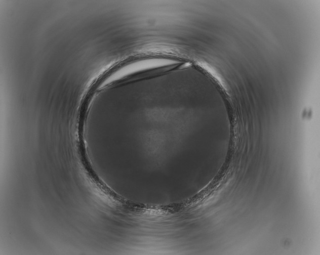 X0000090910399200708131416