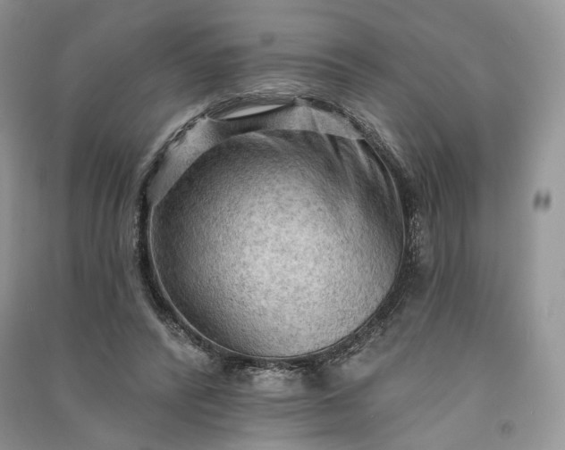 X0000090910400200708131416