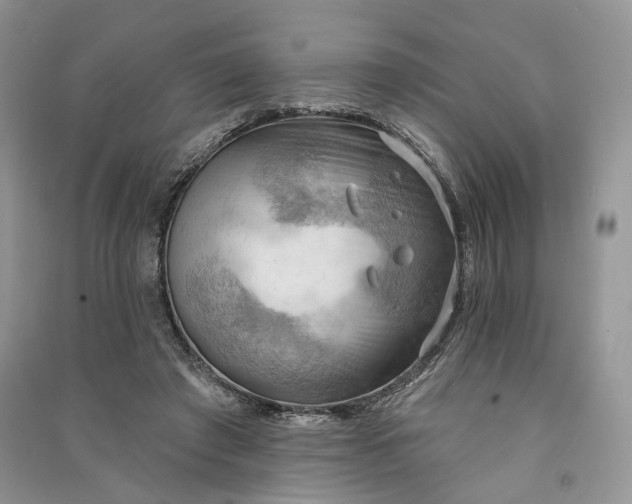 X0000090910401200708131416