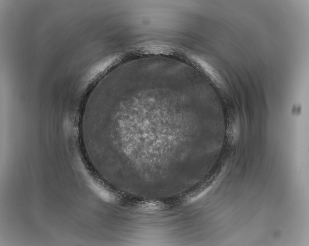 X0000090910402200708131416