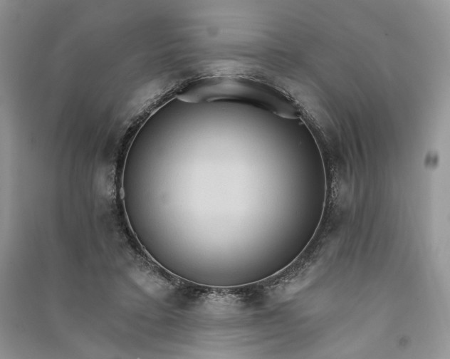 X0000090910403200708131416