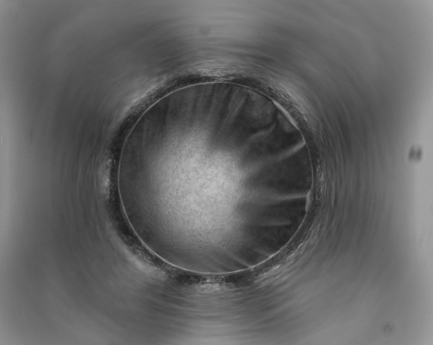 X0000090910404200708131416