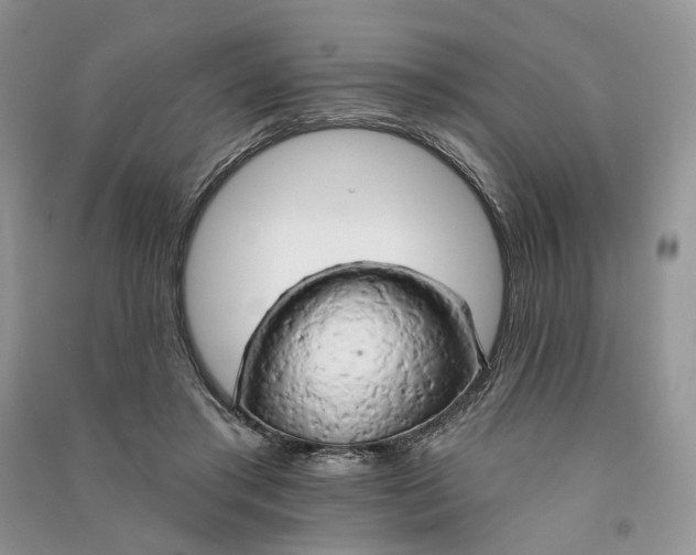 X0000090910405200708131416