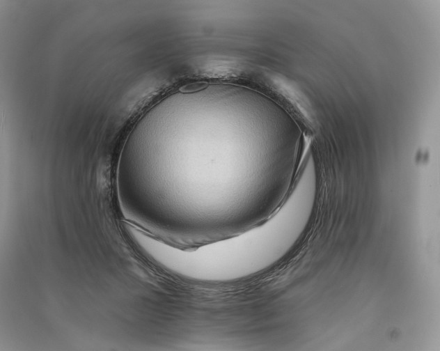 X0000090910407200708131416