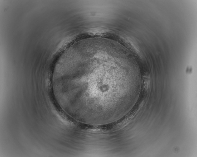 X0000090910408200708131416