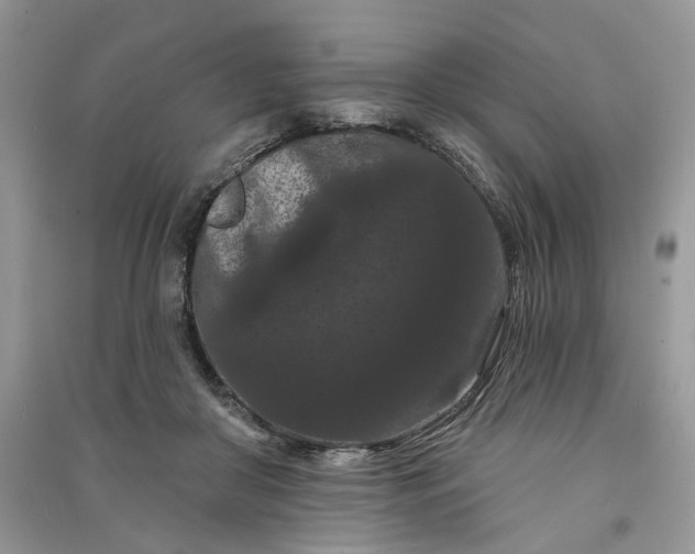 X0000090910410200708131416