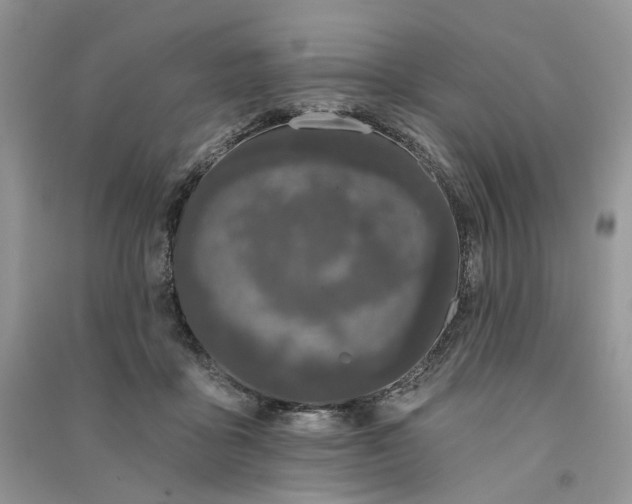 X0000090910411200708131416