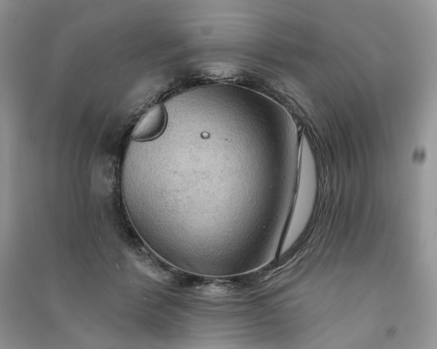 X0000090910412200708131416