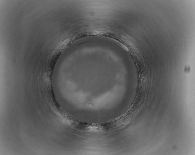 X0000090910415200708131416