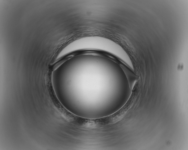 X0000090910416200708131416