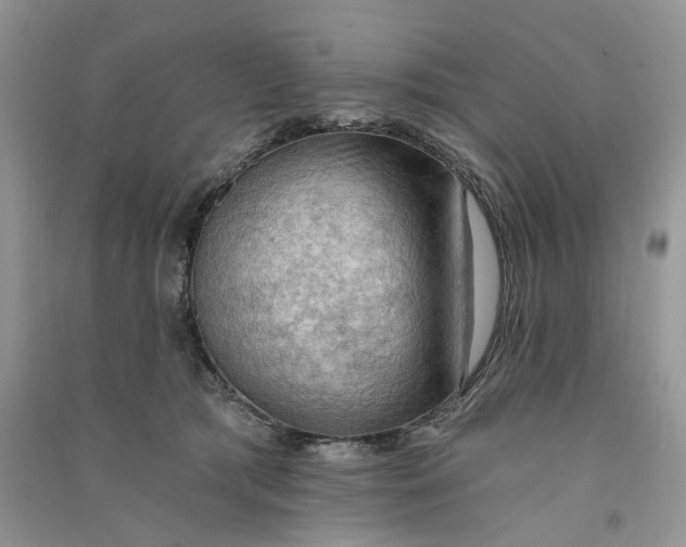 X0000090910417200708131416