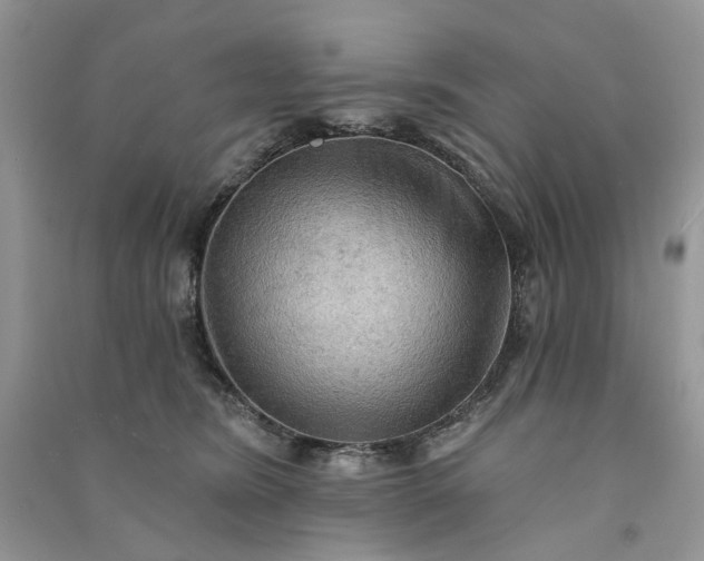 X0000090910420200708131416