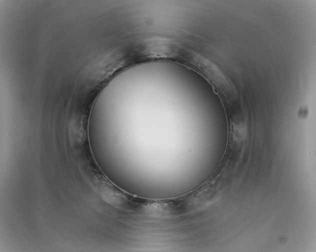 X0000090910422200708131416