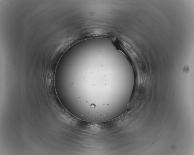 X0000090910423200708131416