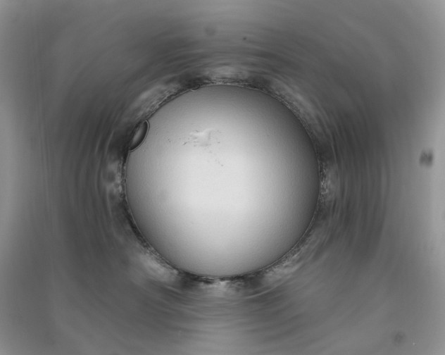 X0000090910430200708131416