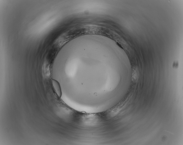 X0000090910431200708131416