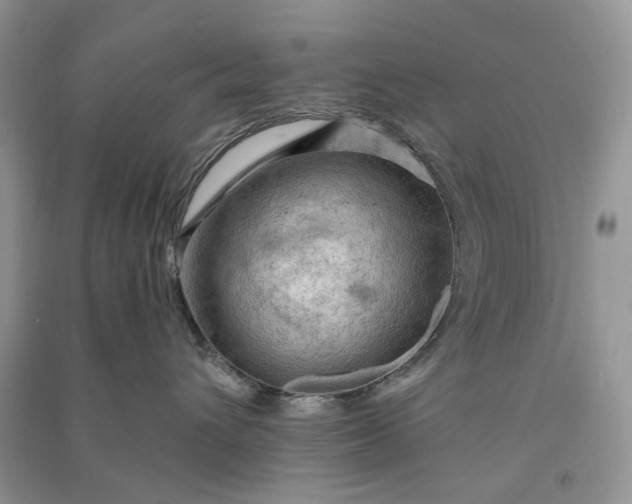 X0000090910432200708131416