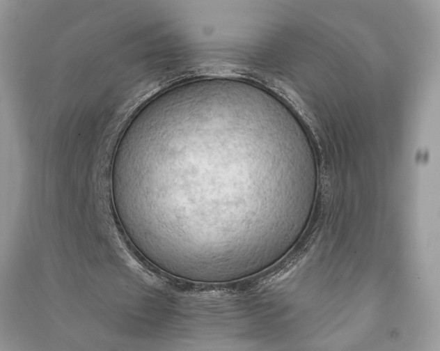 X0000090910433200708131415