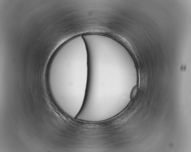 X0000090910435200708131415