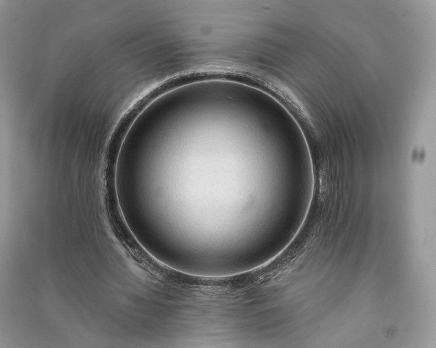 X0000090910436200708131415