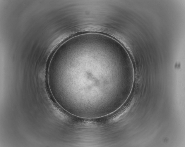 X0000090910437200708131415